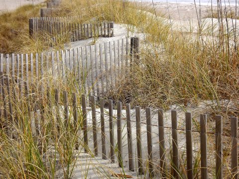 Du siehst hier ein Bild eines Weges, der sich zwischen Dünen zum Strand schlängelt als Symbol für den Weg zur inneren Mitte, der sich durch die Methode Focusing aufzeigt.