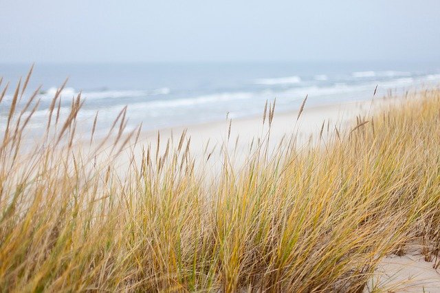 Du siehst hier eine mit Gräsern bewachsene Düne am Strand, das Bild strahlt Ruhe und sinnliche Erfahrung aus als  Symbol für die erlebnisorientierte Methode des Focusing.