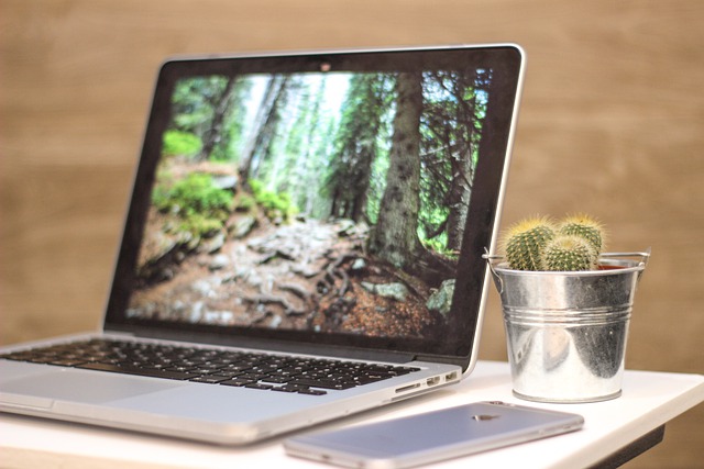 gemütliche online Psychotherapie in Würzburg mit Laptop im Grünen um den Kopf frei zu bekommen