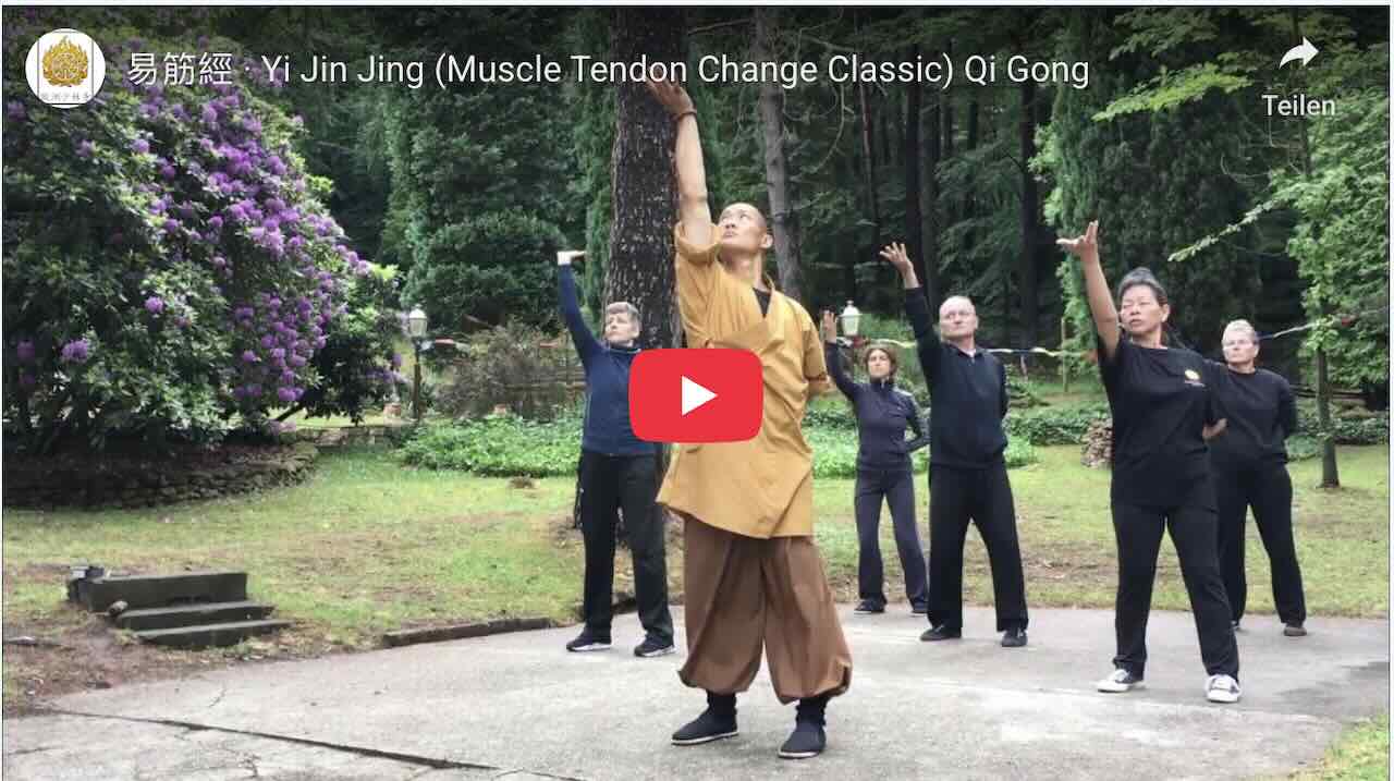 Video-Anleitung Qi Gong Shaolin Jin Jin Jing mit Shi Heng Yi zur Stärkung der Sehnen und Muskeln in 16 Minuten.