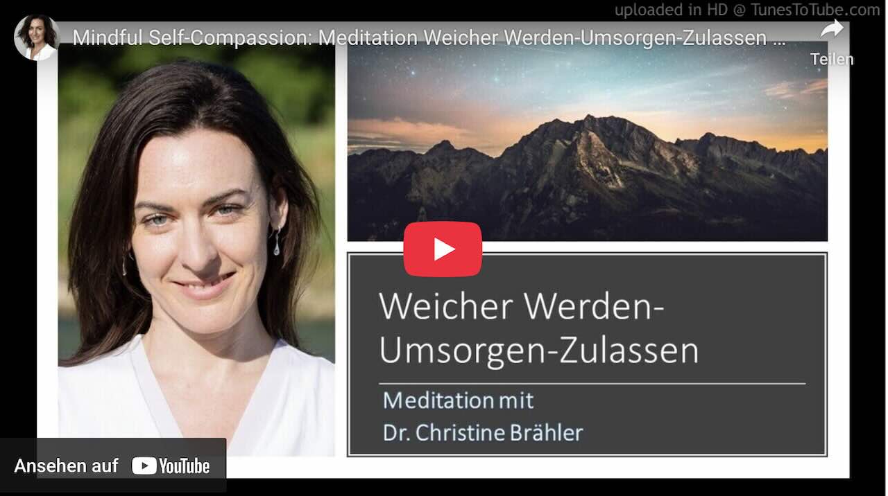Dr. Kristin Neff Übung: Achtsames Selbstmitgefühl als Soforthilfe in Krisensituationen und bei Panikattacken